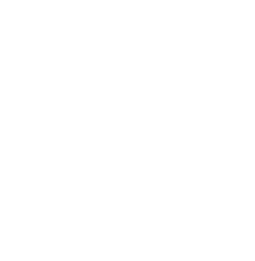 Bündner Standard